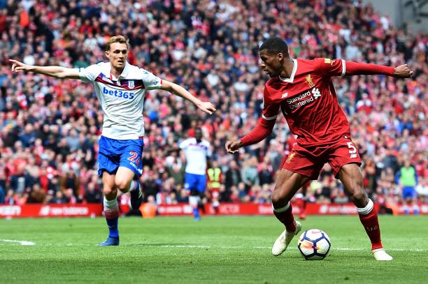 强已不足以 强已不足以