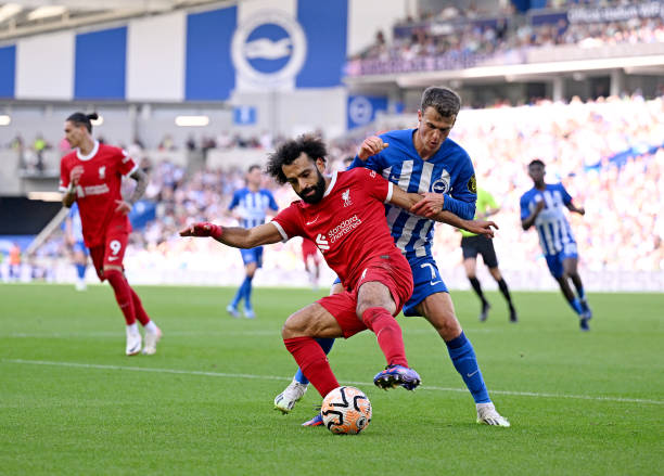 仅每日陪同 仅每日陪同