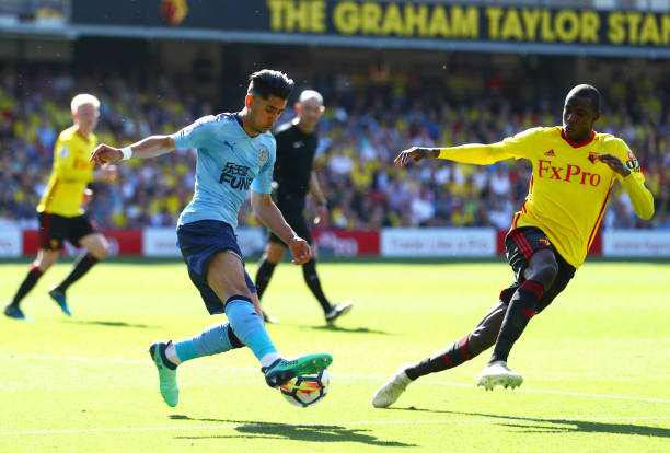 特点更偏向 特点更偏向